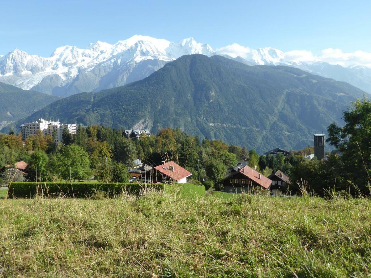 Chalet Les Chouchous Passy  Dış mekan fotoğraf